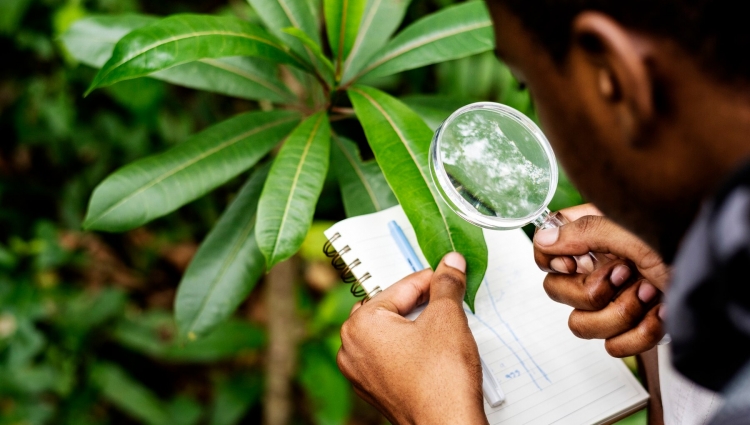 Environmental Research & Investigations