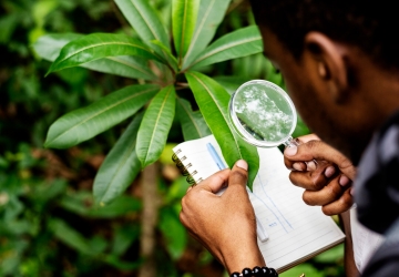 Environmental Research & Investigations